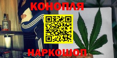 jwh Будённовск