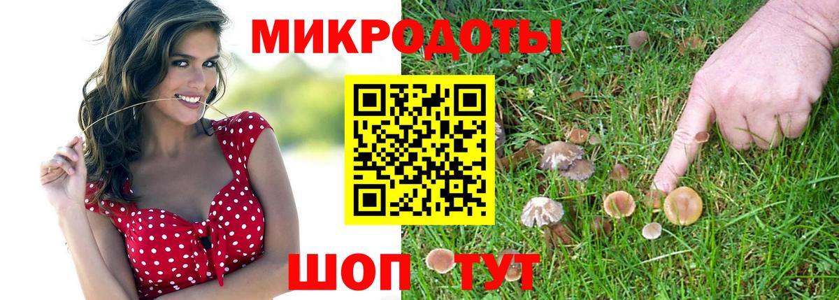 Псилоцибиновые грибы Psilocybe  Вход с VPN  Черняховск 